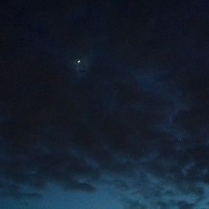 Meet your Posher, Jenifer